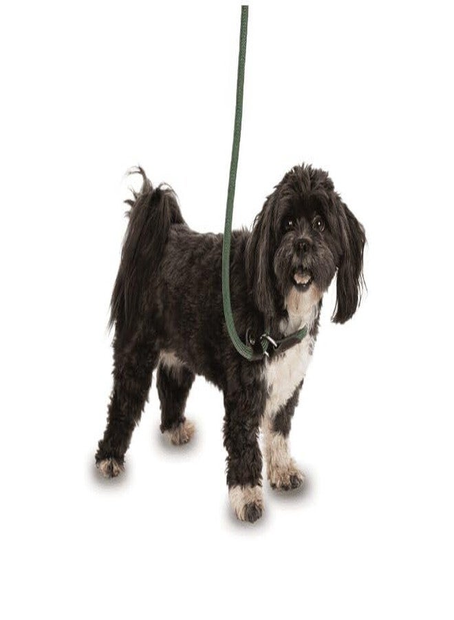 نوترا بت طوق ومقود انزلاقي 3 في 1 من نوترابيت للكلاب | طوق ومقود قابل للتعديل | حبل نايلون متين للتدريب والمشي | أخضر | صغير - Image 5